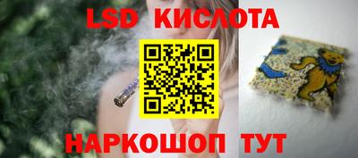 PSILOCYBIN Балахна