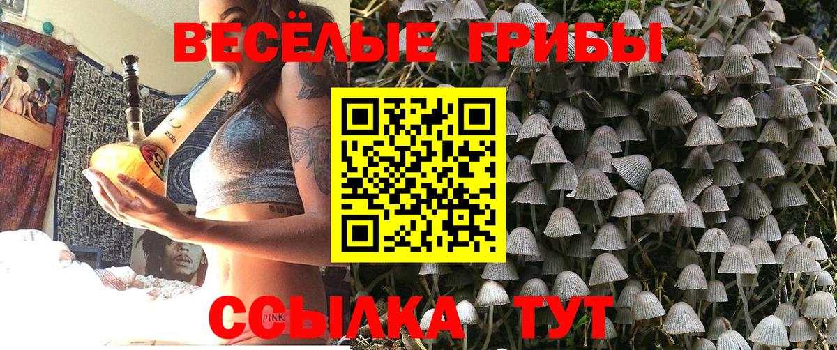 Галлюциногенные грибы Psilocybine cubensis  Вход с VPN  Галлюциногенные грибы Psilocybe  где найти   Зеленогорск 