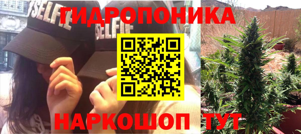 Бошки марихуана MAZAR  Марихуана Ganja  Канабис THC 21%  Шишки марихуана AK-47  Вход с VPN  Зеленогорск 